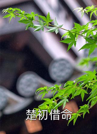 唐若萱陈安小说大概怎么写的