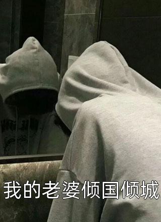 何以渡我高质量小说